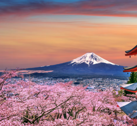 JAPAN 11 DANA/ 8 NOĆENJA 